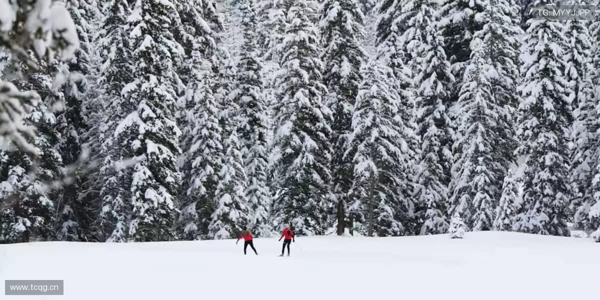 运动潮品，释放你的活力💥